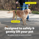 Rear view of PetSafe dog lifting aid on large breed