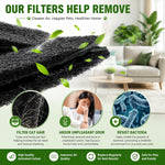 QUEARN odor neutralizing carbon pads lifestyle setup near automatic pet litter box