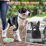 Demonstration of safety link on Ezierfy dog head halter