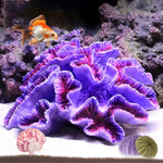 Besimple aquarium coral ornament front view purple fish tank decoration
