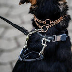 Adjustable reflective safety clip for dog training collars