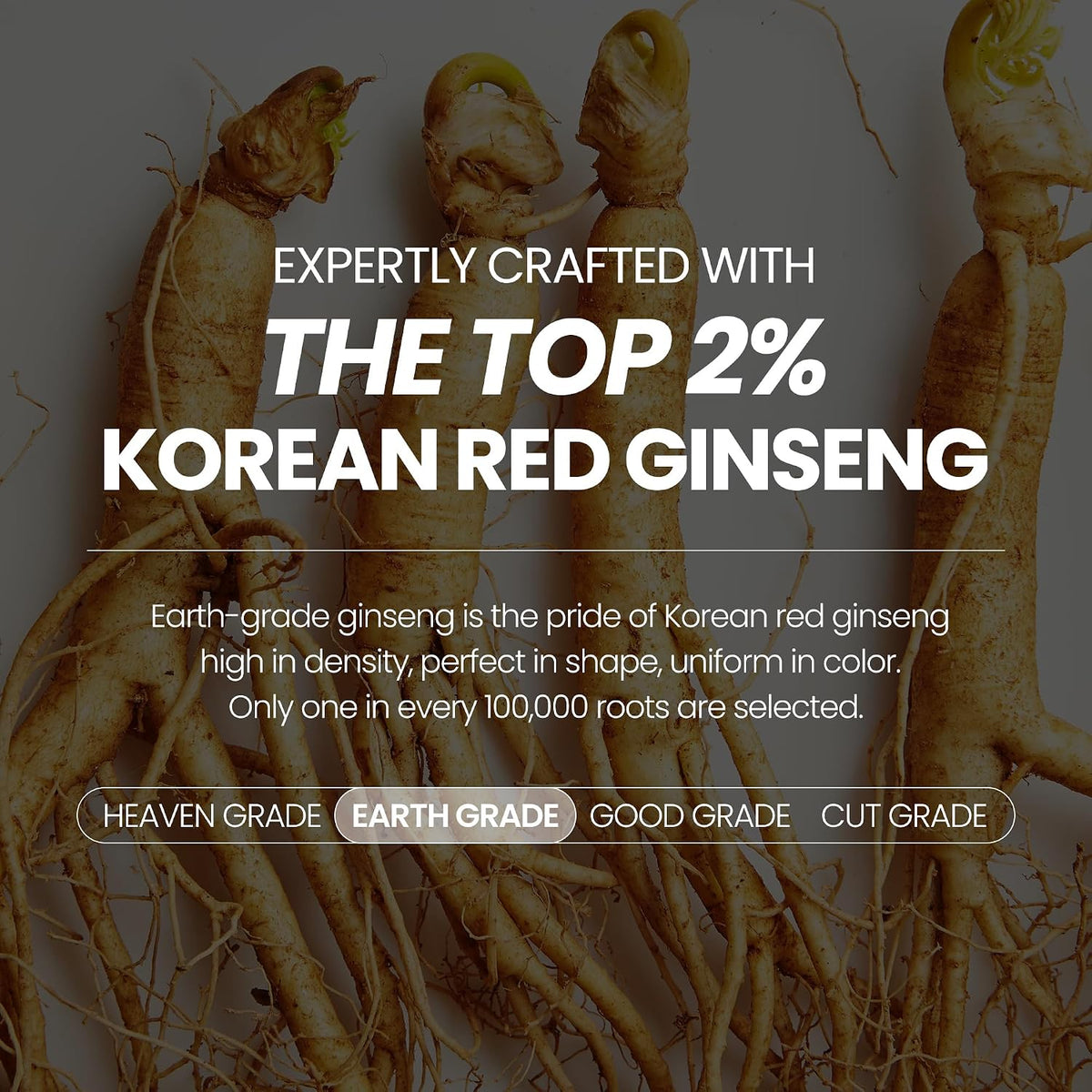 Jung Kwan Jang Earth Grade Korean Red Ginseng supplement facts and ingredient list label