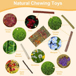 Natural timothy hay sticks and sweet bamboo molar toys for guinea pigs