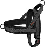 Didog No Pull Dog Harness with Breathable Mesh Padded,Reflective & Quick Fit Light Weight Dog Strap Vest Harness,Easy for Walking Training (L:Chest 26-32", Mesh-Hot Pink) - Image 13
