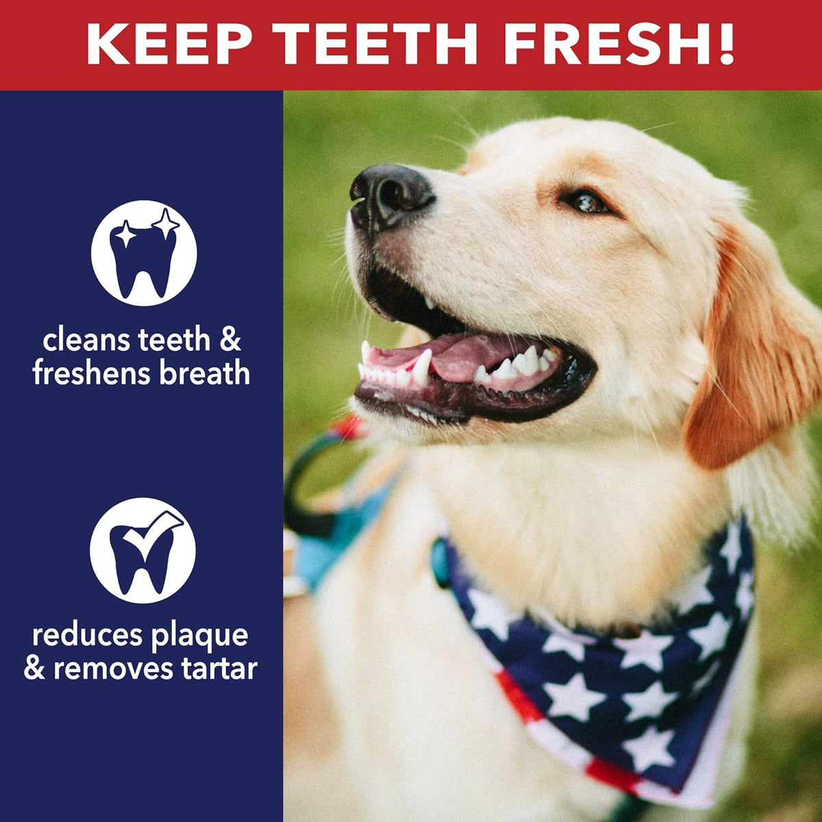 Premium pet factory 40 pack dog chews displaying five inch size dimensions