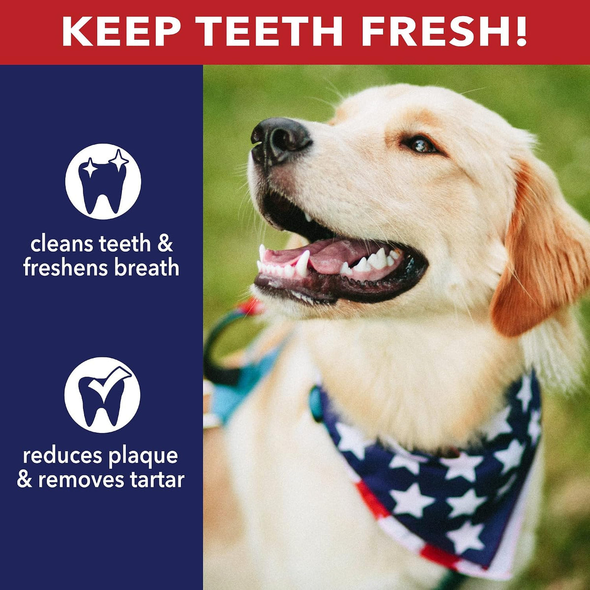 Pet Factory 100% Made in USA Beefhide 8" Rolls Dog Chew Treats - Natural Flavor, 10 Count/1 Pack - Image 9