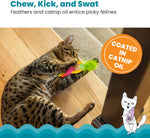 Catstages pineapple cat toy for dental care