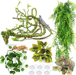 PietyPet reptile plants and hanging vines set front view