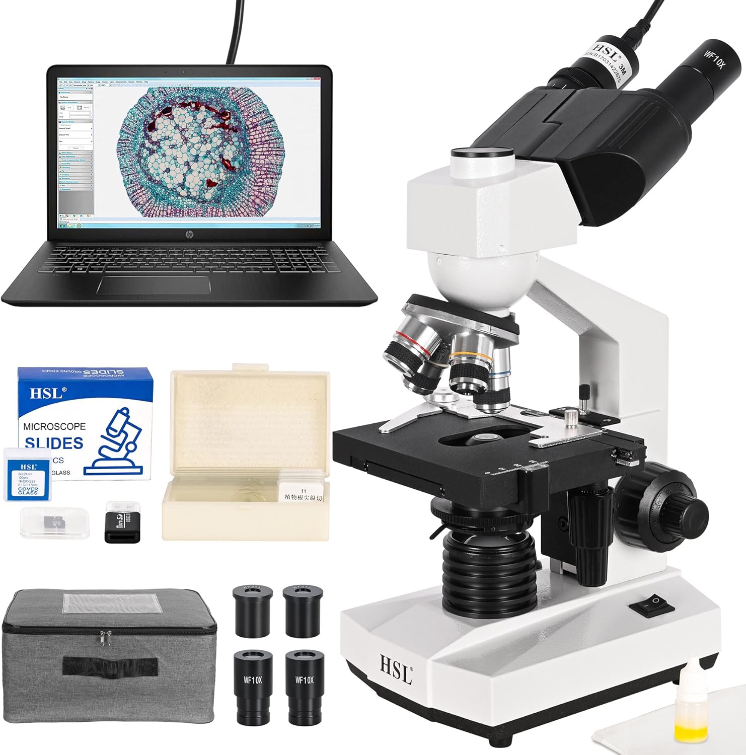 HSL Compound Binocular Microscope front view displaying white metal body and mechanical stage