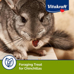 Back label of Vitakraft chinchilla snack showing feeding instructions and nutritional facts.