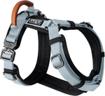 MADE TO ROAM Premium Explorer Harness - Y-Shaped Dog Harness with Adjustable Durable Nylon, Soft Padding, Metal Buckles and Leather Handle for Small, Medium, Large Dogs (Vermont Weekends, Size 4) - Image 9