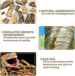Fhiny 2 piece cork bark set for bearded dragon habitat