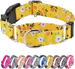 Hikiko Martingale Collar for Dogs Soft Durable Dog Collar for Small Medium Large Boy and Male Dogs No Pull No Slip Safety Buckle Dog Collars (Hill,Medium) - Image 11