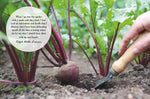 Cico Books Mindful Gardening interior photography preview