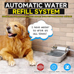 Self-filling pet waterer attached to a garden hose in a backyard