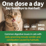 Crunchy catnip training biscuits for indoor cats dental health