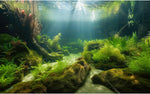 Riivvdise under the sea style lake river bed background texture details.