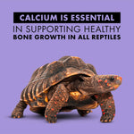 Zilla calcium spray for bearded dragons and geckos