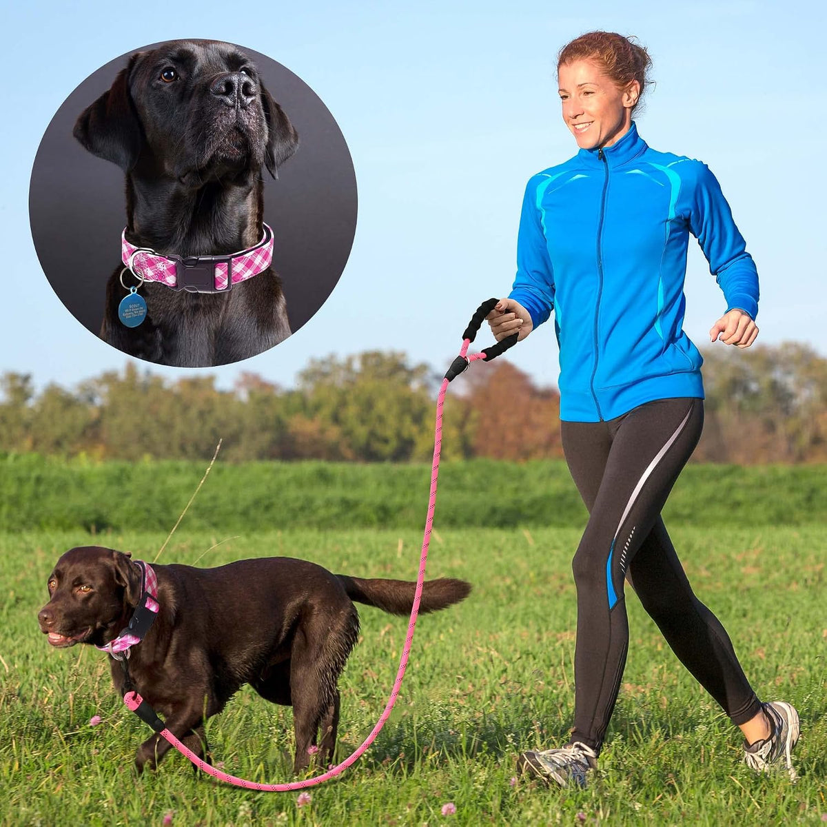Ladoogo reflective nylon dog collar night visibility detail