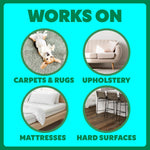 Using Shout Pet Stain Remover on carpet mess