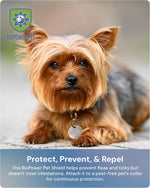 BioPower Pet Shield tag with pet accessories for size reference