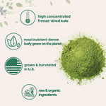 Micro Ingredients kale powder blended into a green health smoothie