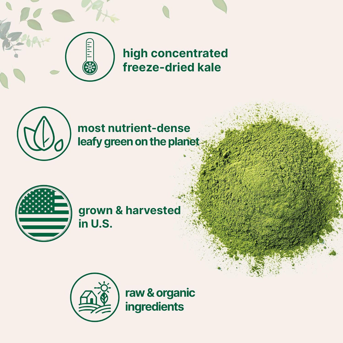 Micro Ingredients kale powder blended into a green health smoothie