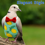 Homedy Crafts pigeon accessories kit layout highlighting the stainless steel hook and elastic training rope