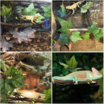 Packaging contents of Bnosdm reptile branch and suction cups