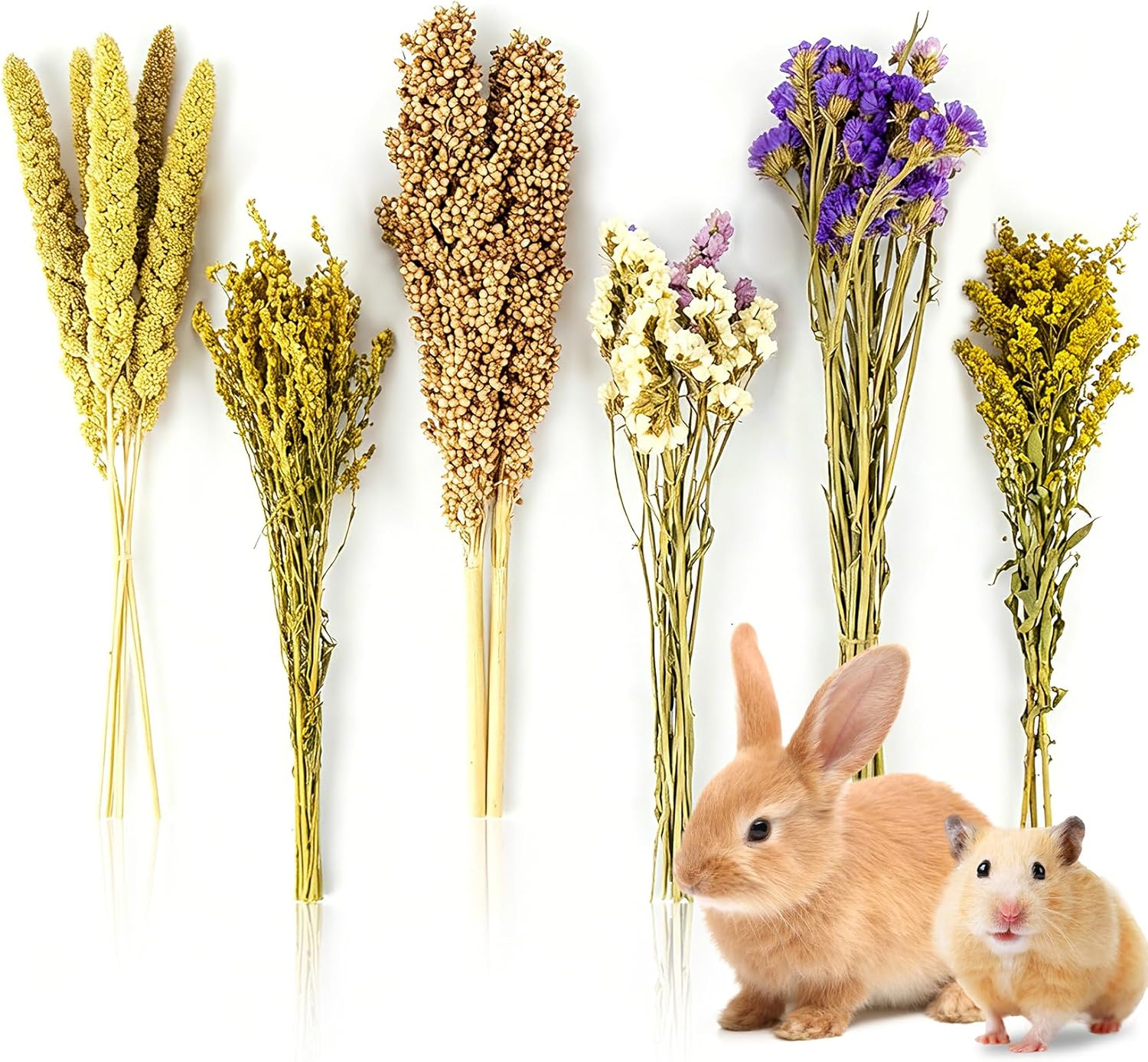 Sukh Natural Hamster Bedding Sprays - Foraging Habitat Decor Cage Accessories, Hideout Enrichment for Dwarf & Syrian Hamsters, Gerbils, Mice and Other Small Animals - Image 1