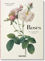 RedoutÃ©. Roses (Multilingual Edition) - Image 1