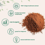 Micro Ingredients chaga mushroom extract powder texture and scoop