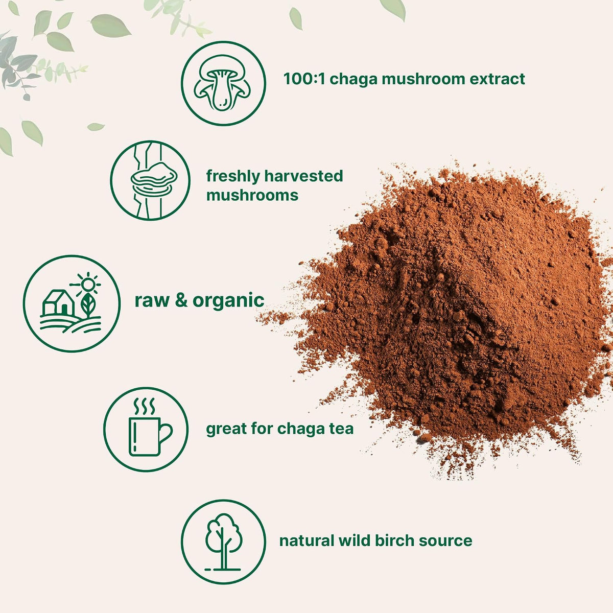 Micro Ingredients chaga mushroom extract powder texture and scoop