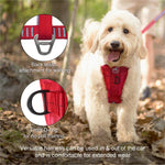 Black Kurgo pet travel safety harness with padded chest plate