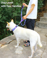 Hotsky no pull dog leash showing the dual padded traffic control handles