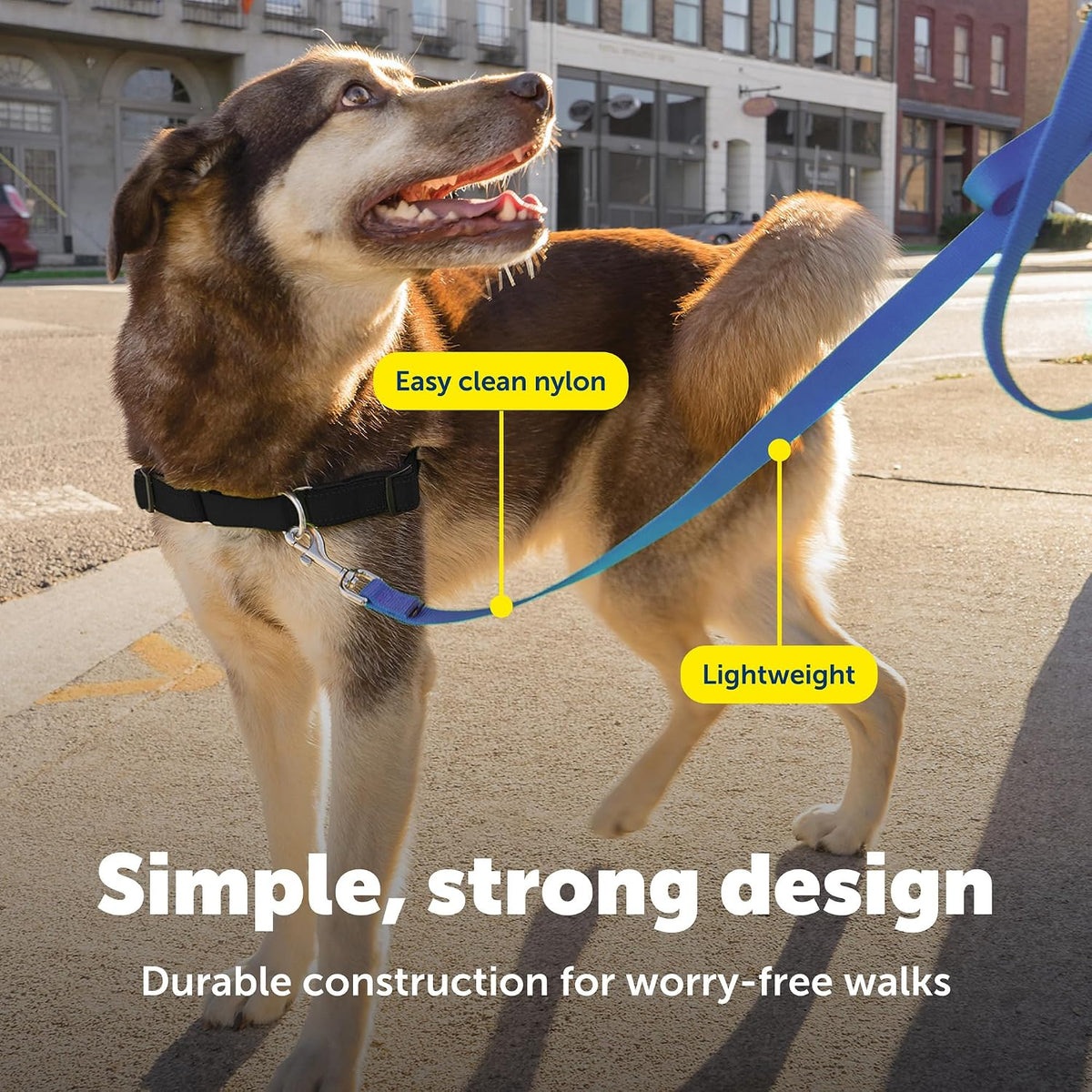 PetSafe premium small dog leash three-eighths inch width overview