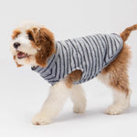Fitwarm small dog sweater pack elasticized neck and leg details.