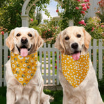 Close up of Agroon floral and checkered reversible pet scarf