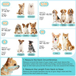 Adjustable closure mechanism on small dog recovery collar