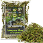 Sukh Sphagnum Moss for Reptiles five ounce pack front view showcasing green dried peat moss packaging