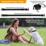 Dog training collar with quick release snap buckle and secure metal D ring attachment.
