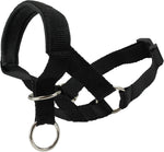 Dogs My Love premium imported canine behavioral control collar package