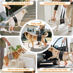 Dog using Loobani harness to climb stairs