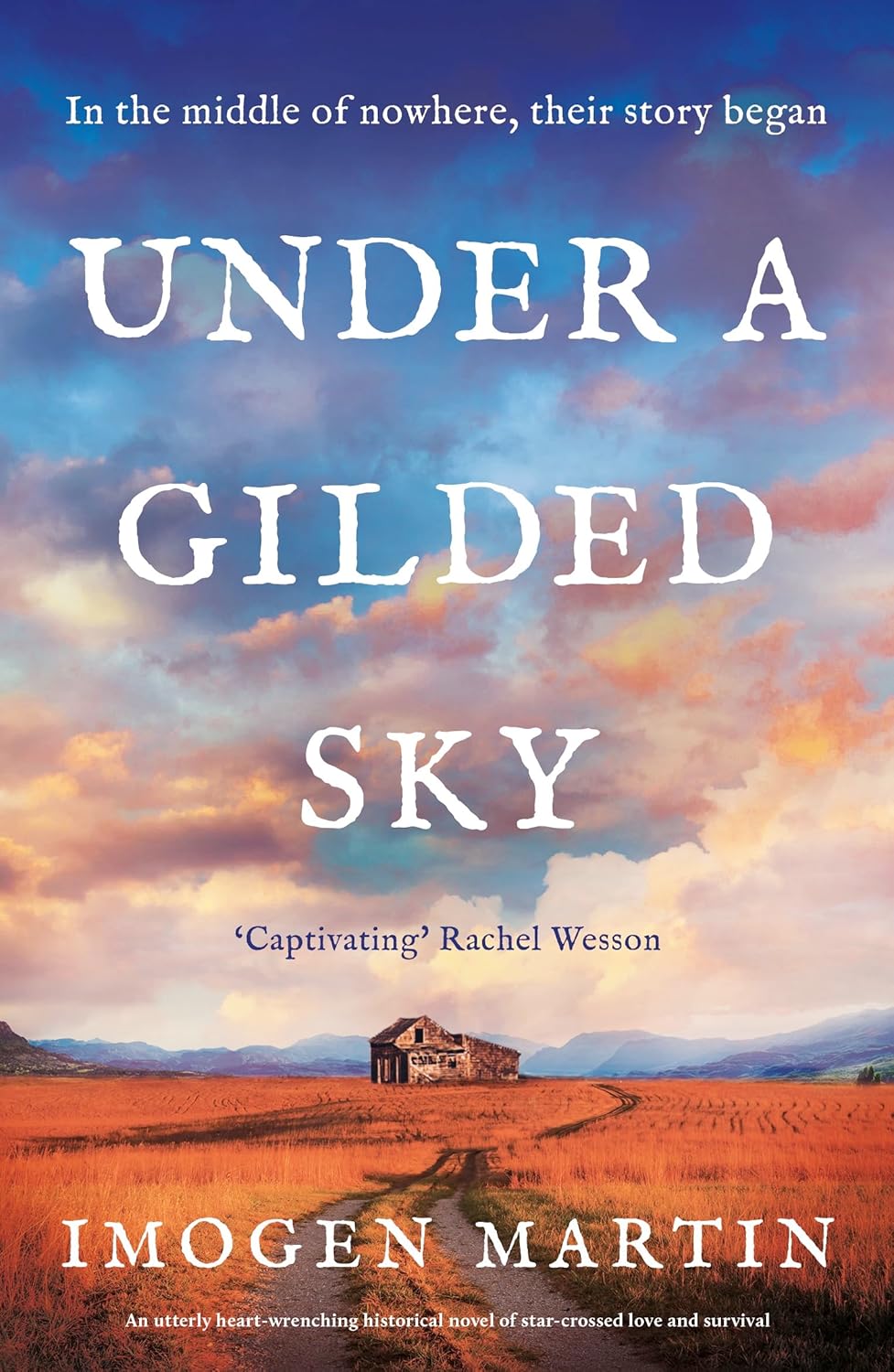 Imogen Martin Under a Gilded Sky book cover historical fiction