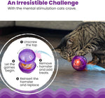 Removable squeaking plush hamster toy close up