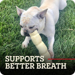 Premium imported USA dog treat for joint health support