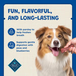 Back of packaging showing ingredients for Regular Dental Bones