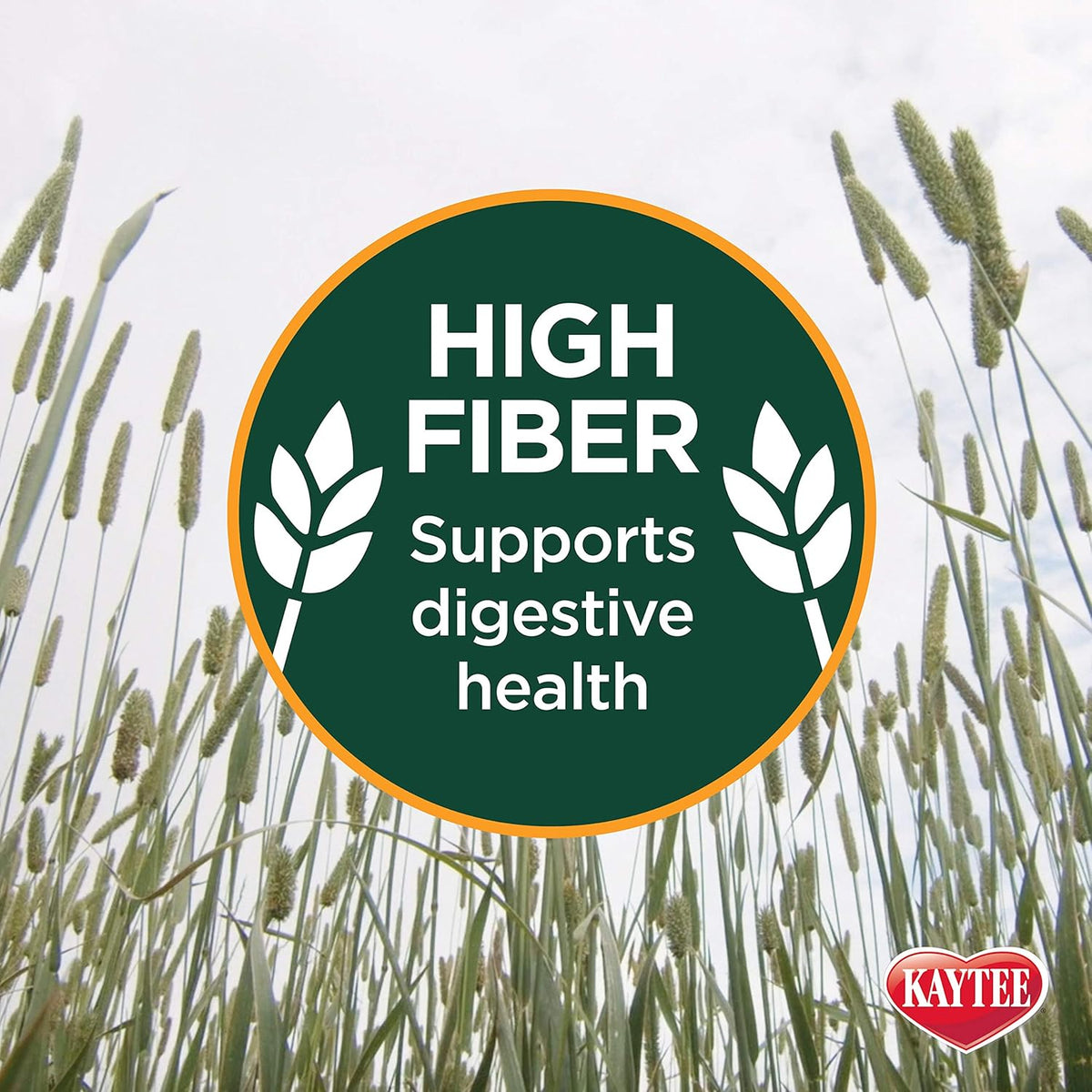 All natural pesticide free alfalfa hay bale for pet dental and digestive health