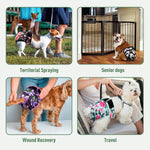 Adjustable hook and loop closure system on washable doggy panties