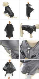 Side profile of dog wearing black biker leather jacket
